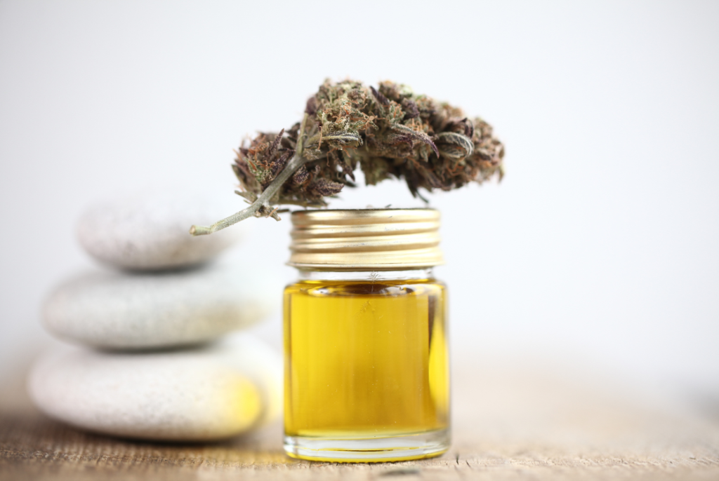 Navrh-bez-nazvu-4-1024x686 (1)